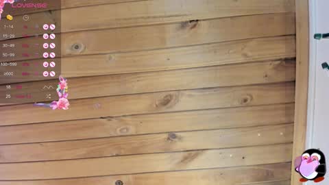 Cristal online show from November 4, 4:00 am