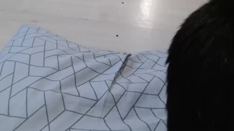 cristynaa36 online show from November 5, 12:05 pm