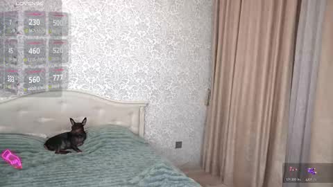 Nika online show from November 23, 2:28 pm