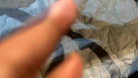 im KIM new girl to spoil online show from November 7, 6:13 am