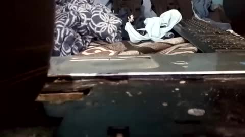 cumbian_chero online show from May 22, 2:44 pm