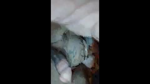 Aprilia online show from September 23, 10:51 am