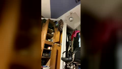 Aprilia online show from February 2, 9:35 pm