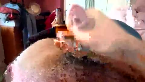 Snapshot of currocll chatting on October 6, 8:01 am currocll online show from October 6, 8:01 am