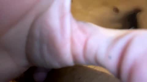 Snapshot of curvy24777 chatting on January 19, 3:50 am curvy24777 online show from January 19, 3:50 am