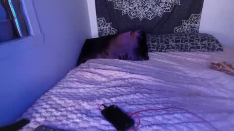 Snapshot of curvybcelinemixe chatting on March 2, 7:21 am Cline  online show from March 2, 7:21 am