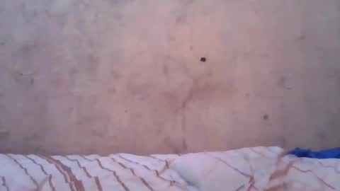 Snapshot of cute_divah4 chatting on June 12, 4:22 am cute_divah4 online show from June 12, 4:22 am