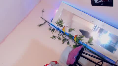 Snapshot of cute_ts_charlott chatting on December 17, 3:17 pm danny online show from December 17, 3:17 pm