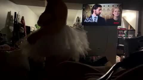 cutebananas online show from April 17, 9:23 am