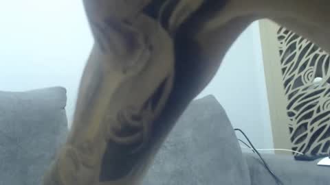 cuteeboy online show from December 2, 8:37 pm