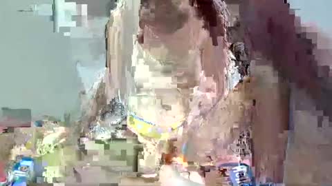 bella online show from February 1, 1:55 am