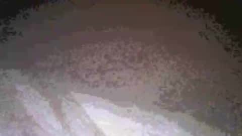 cwill27837 online show from February 26, 3:38 am