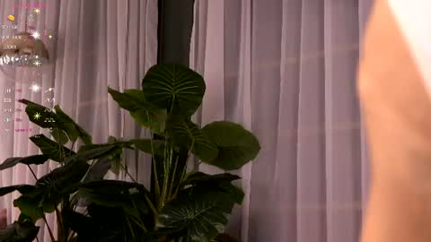 Snapshot of cynthiawest chatting on July 3, 3:35 am Ivy online show from July 3, 3:35 am