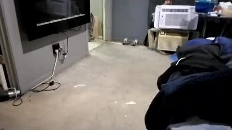 Snapshot of da941987 chatting on December 2, 5:48 am da941987 online show from December 2, 5:48 am