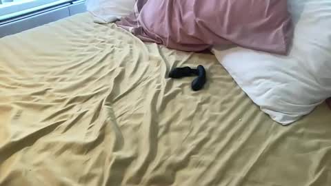 Snapshot of dadstrokin chatting on March 8, 5:28 pm dadstrokin online show from March 8, 5:28 pm