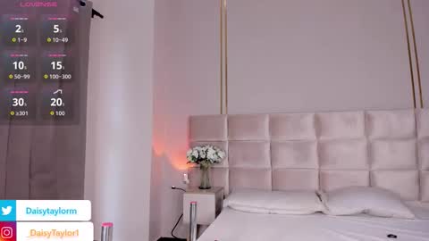 Daisy online show from November 19, 12:49 pm