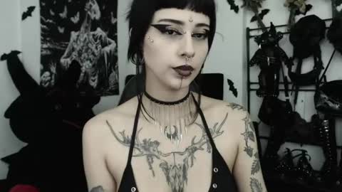 Snapshot of dakota_krall_ chatting on July 4, 2:29 am dakota online show from July 4, 2:29 am