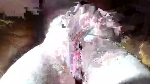 dalamud48 online show from March 27, 9:21 am