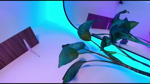 Dalila online show from November 8, 10:48 am