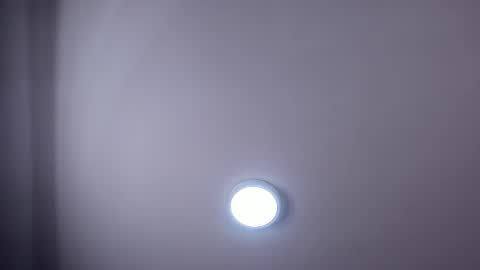 Dalyla online show from March 5, 3:40 pm