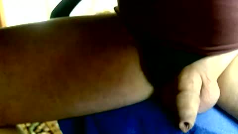 Dammerl online show from January 11, 2:00 pm