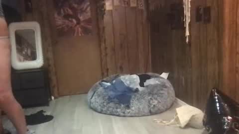 Snapshot of danamaris666 chatting on September 25, 7:28 pm DanaMaris666 online show from September 25, 7:28 pm