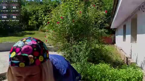 Denisa   personalized vinyl photo wallpaper 95-cm length 239-cm height with danamilys autograph or photo on request personaliz online show from July 30, 8:13 am
