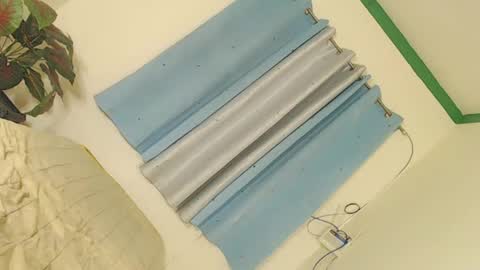 Nica online show from January 16, 2:51 pm