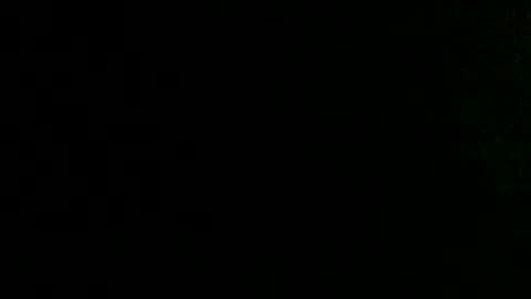 Snapshot of dankshepp chatting on October 2, 10:00 am dandeb online show from October 2, 10:00 am