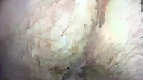 Snapshot of dankz4two0 chatting on December 21, 1:32 pm dankz4two0 online show from December 21, 1:32 pm