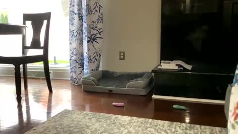 Snapshot of dannyboy621 chatting on October 25, 1:18 pm dannyboy621 online show from October 25, 1:18 pm