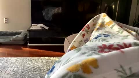 Snapshot of dannyboy621 chatting on October 26, 1:17 pm dannyboy621 online show from October 26, 1:17 pm