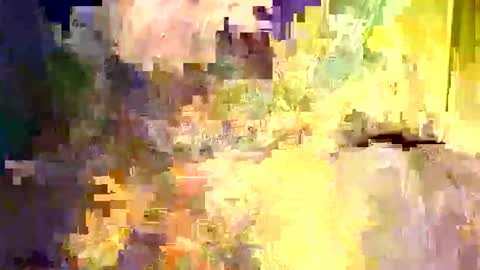 Snapshot of dano9696 chatting on December 5, 6:22 am dano9696 online show from December 5, 6:22 am