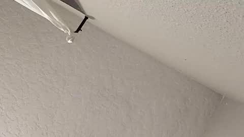 Snapshot of dano9696 chatting on February 23, 7:28 am dano9696 online show from February 23, 7:28 am