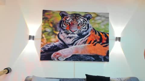 DANTE online show from December 28, 3:15 am