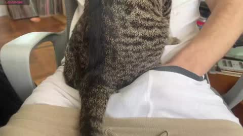 Snapshot of danteslife chatting on January 24, 5:53 pm Dante online show from January 24, 5:53 pm