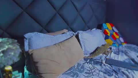 Snapshot of dany_dryy chatting on January 17, 6:11 pm Dany online show from January 17, 6:11 pm