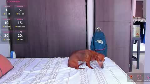 danyfitguy_ online show from November 9, 5:11 pm