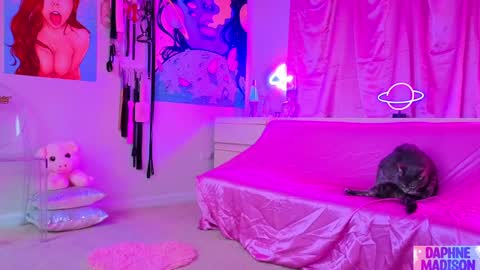 Daphne Madison online show from February 10, 10:14 pm