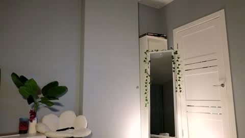 darilboom online show from December 3, 11:55 am