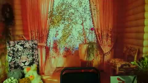 Darina online show from February 18, 6:31 am