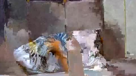 Dark Candy 254 online show from December 13, 3:54 pm