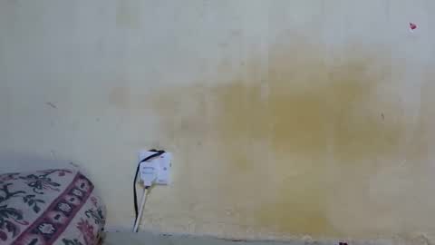 dark_princess1 online show from October 8, 7:50 am