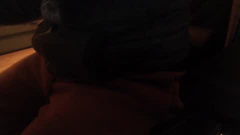 Snapshot of davdao3 chatting on December 20, 10:38 am davdao3 online show from December 20, 10:38 am