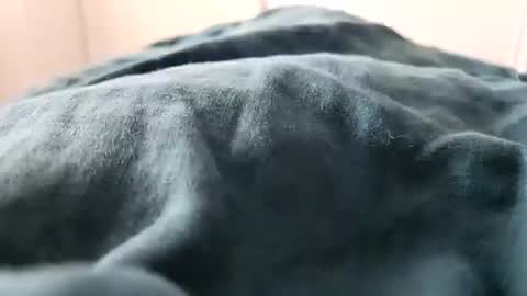 Snapshot of davdao3 chatting on February 16, 1:27 pm davdao3 online show from February 16, 1:27 pm