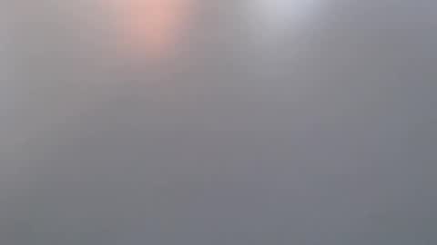 Snapshot of davdao3 chatting on March 19, 7:01 am davdao3 online show from March 19, 7:01 am