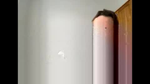 davepil29 online show from December 21, 10:44 am