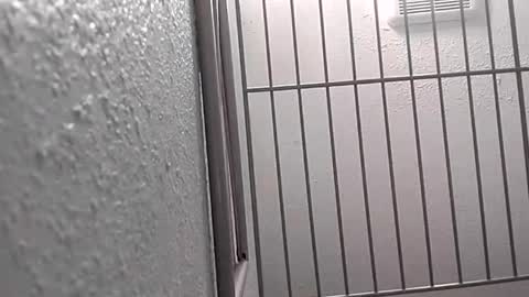 Snapshot of david_stone1969 chatting on January 25, 8:10 pm david_stone1969 online show from January 25, 8:10 pm