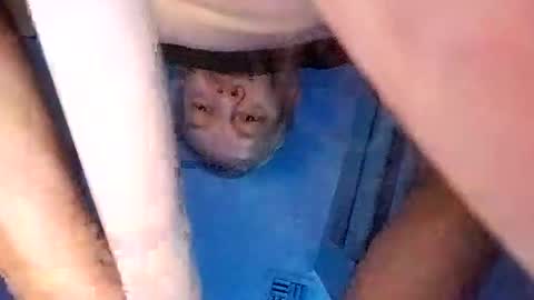 Snapshot of david_stone1969 chatting on March 8, 3:13 pm david_stone1969 online show from March 8, 3:13 pm