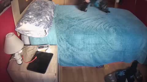 Hugo online show from February 20, 11:09 am